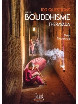 Didier Treutenaere - 100 questions sur le bouddhisme