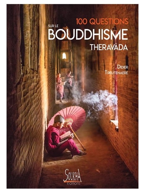 Didier Treutenaere - 100 questions sur le bouddhisme
