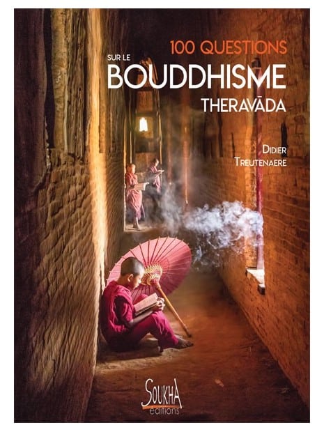 Didier Treutenaere - 100 questions sur le bouddhisme