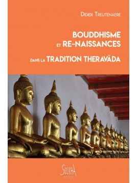 Didier Treutenaere - Bouddhisme et re-naissances