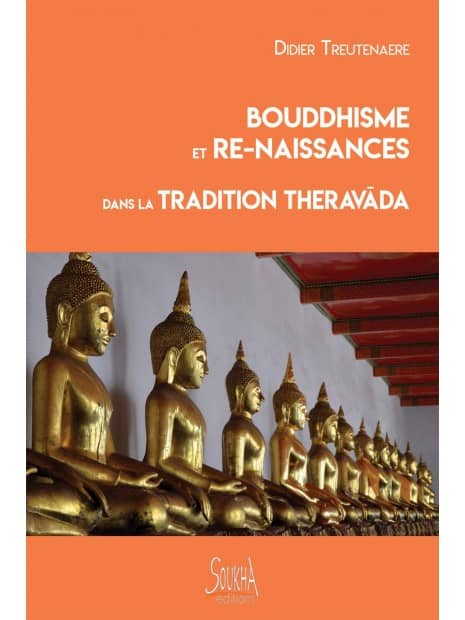 Didier Treutenaere - Bouddhisme et re-naissances